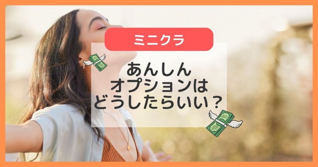 minikura(ミニクラ)のあんしんオプションは必要？全部の箱につけない賢い使い方♪