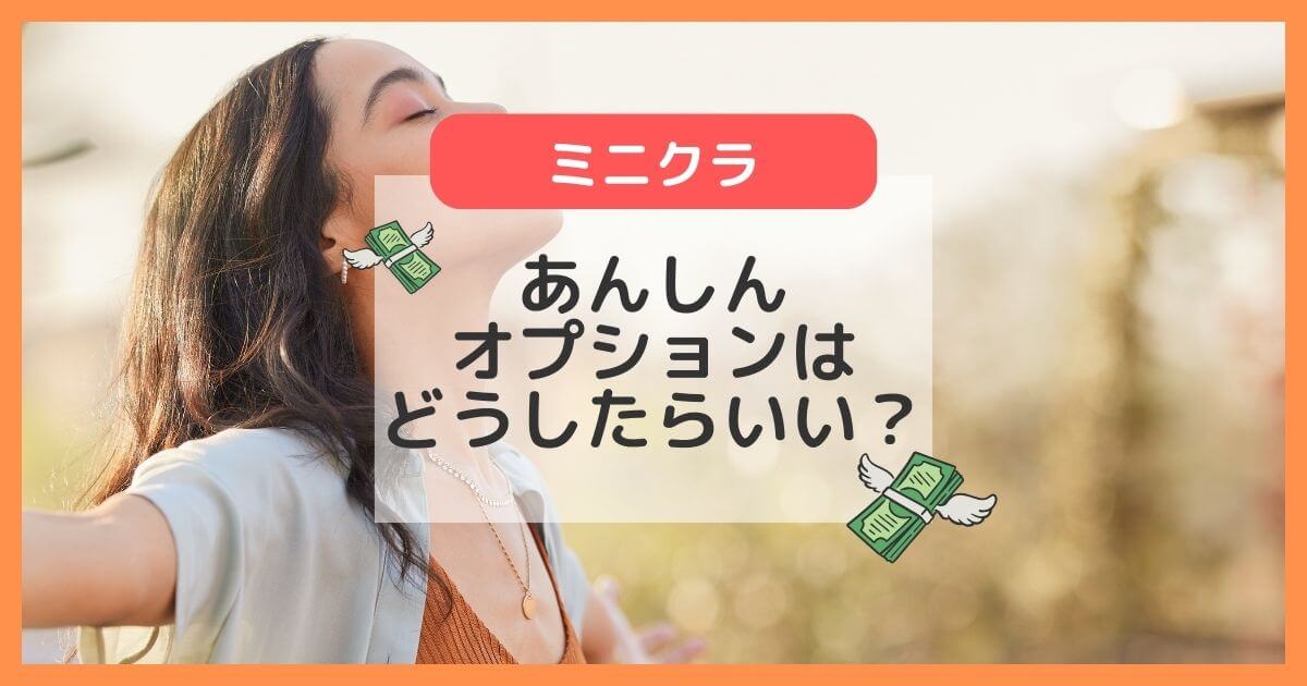 minikura(ミニクラ)のあんしんオプションは必要？全部の箱につけない賢い使い方♪